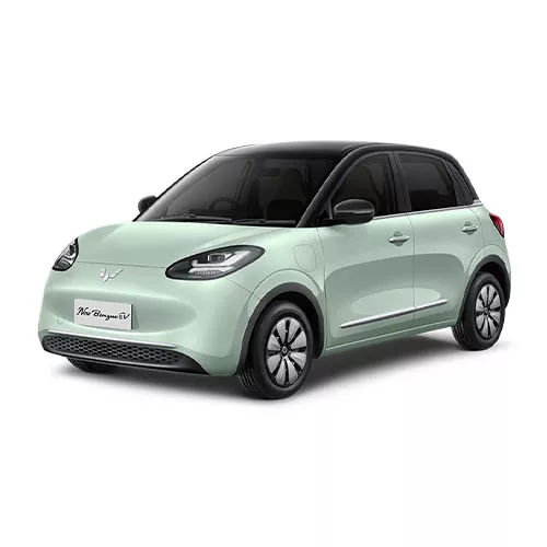 Bali Car Rental Type Wulling Binguo EV - Electric Vehicle Bali